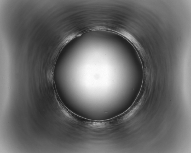 X0000086790857200704271829
