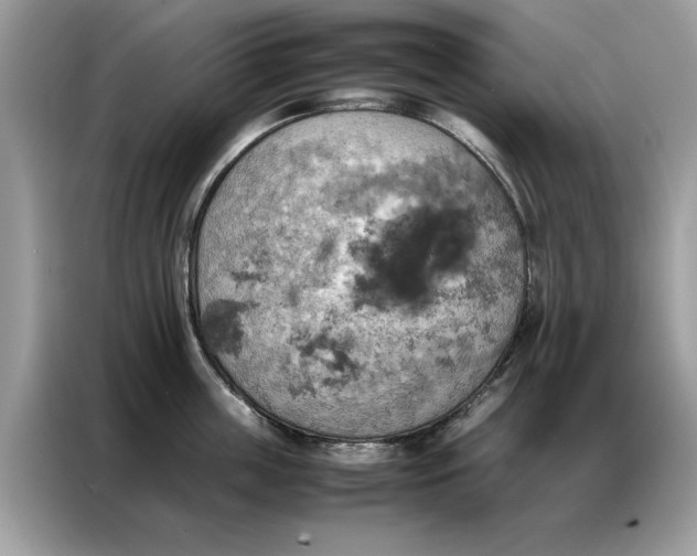 X0000086790859200704271829