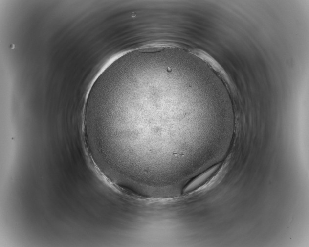 X0000086790860200704271829