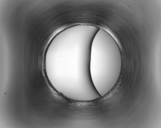 X0000086790861200704271829