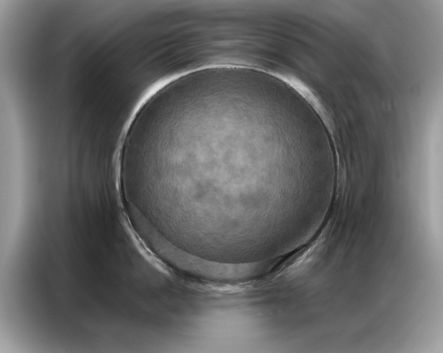 X0000086790862200704271829