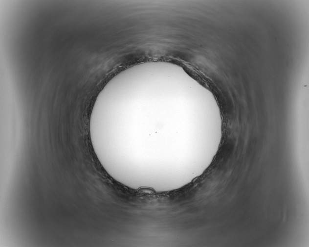 X0000086790865200704271828