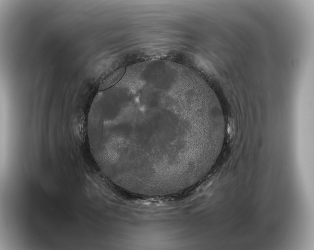 X0000086790867200704271828
