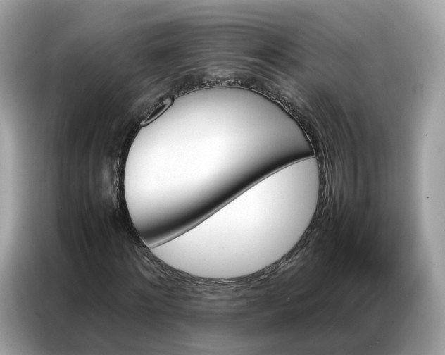 X0000086790868200704271828