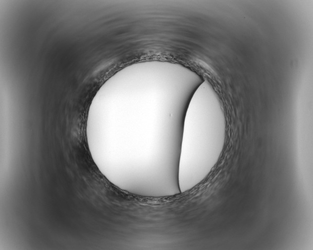 X0000086790869200704271828
