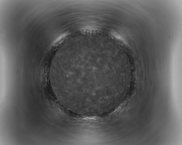 X0000086790870200704271828