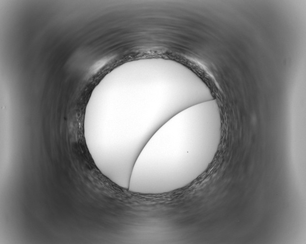 X0000086790871200704271828