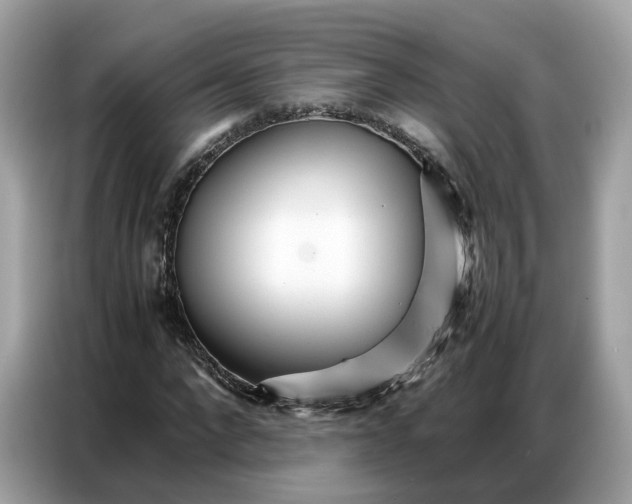 X0000086790872200704271828