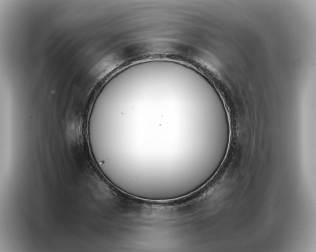 X0000086790873200704271828