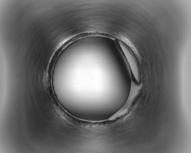 X0000086790876200704271828
