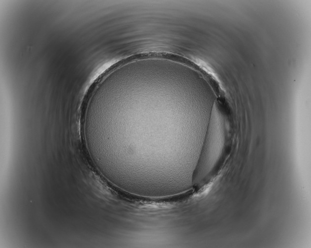 X0000086790877200704271828
