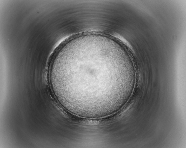 X0000086790878200704271828