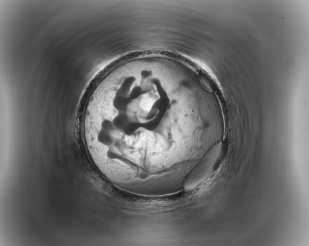 X0000086790879200704271828
