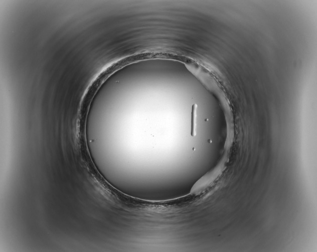 X0000086790880200704271828