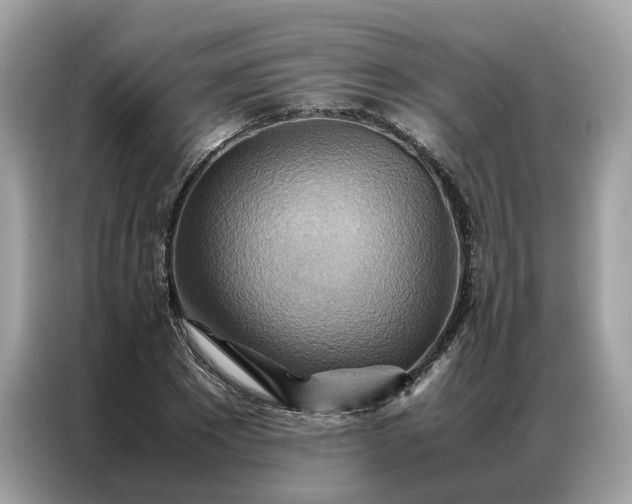 X0000086790881200704271828