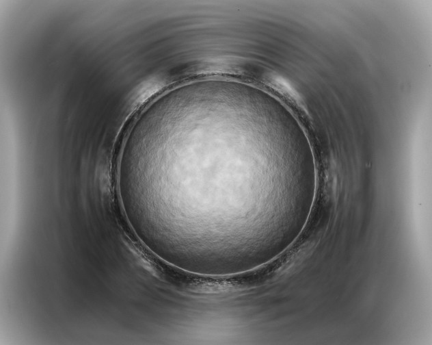 X0000086790882200704271828