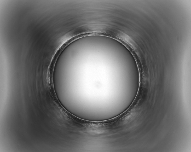 X0000086790883200704271828