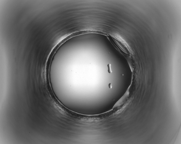 X0000086790884200704271828