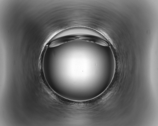X0000086790885200704271828