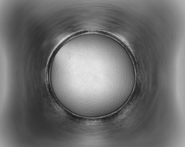 X0000086790887200704271828