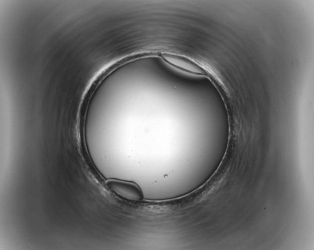 X0000086790888200704271828