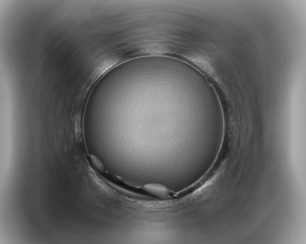 X0000086790889200704271828