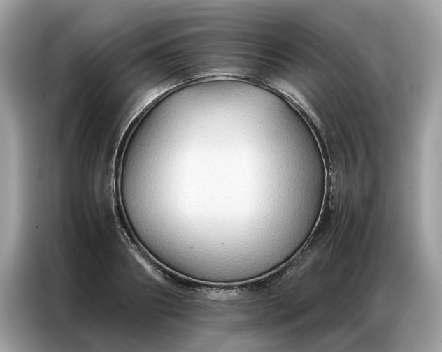 X0000086790890200704271828