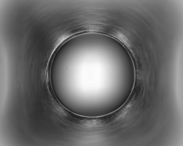 X0000086790891200704271828