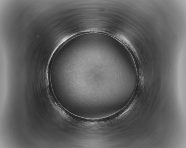 X0000086790892200704271828
