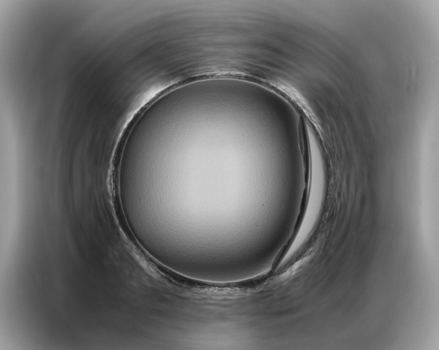 X0000086790893200704271828