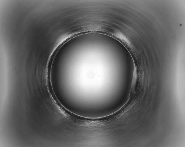 X0000086790894200704271828