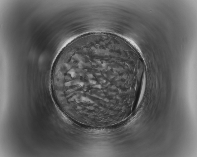 X0000086790895200704271828