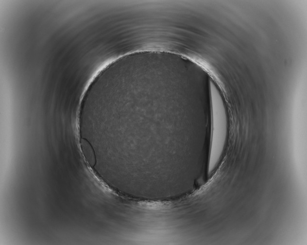 X0000086790896200704271828