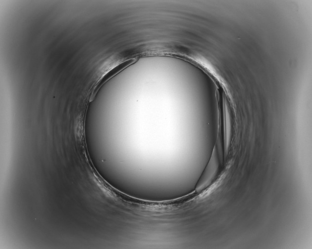 X0000086790897200704271828