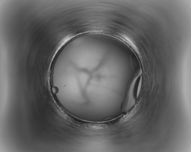 X0000086790899200704271828