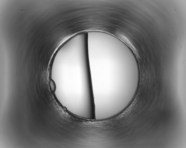 X0000086790900200704271828