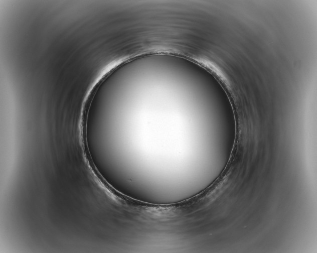 X0000086790902200704271828