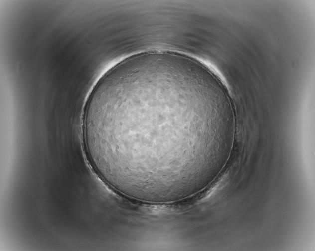 X0000086790903200704271828