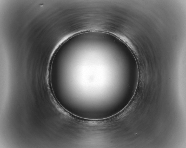 X0000086790904200704271828
