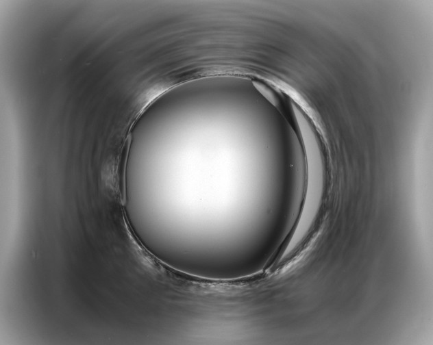 X0000086790905200704271828