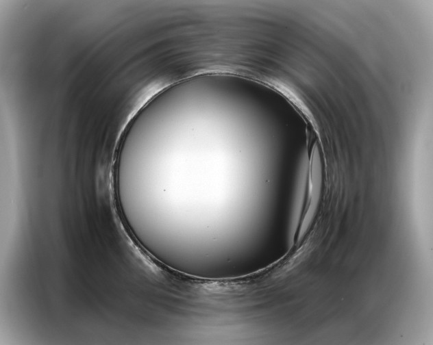 X0000086790906200704271828