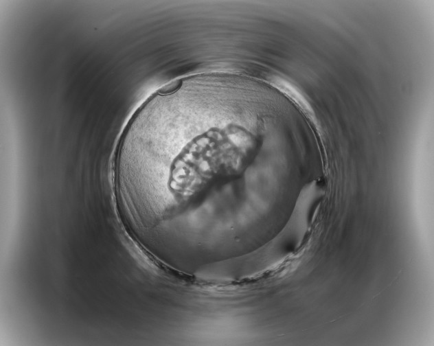 X0000086790907200704271828