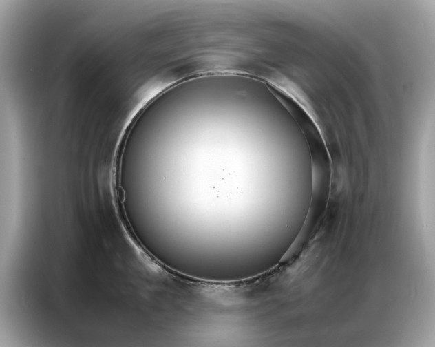 X0000086790909200704271828