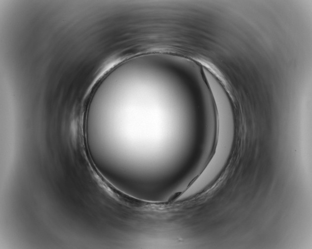 X0000086790910200704271828