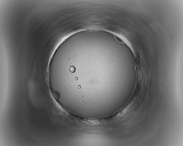 X0000086790911200704271828