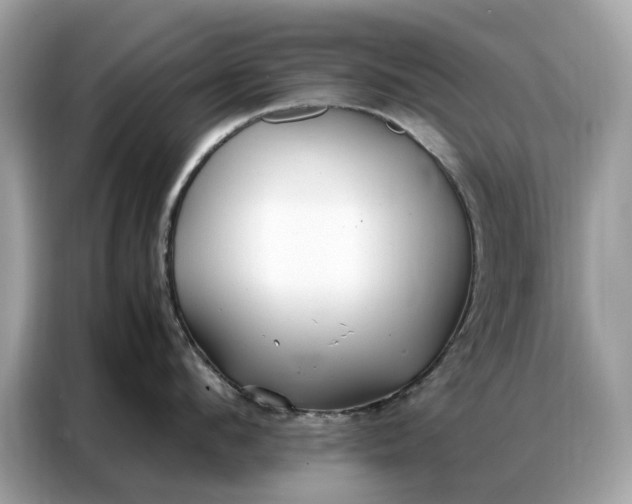 X0000086790912200704271828