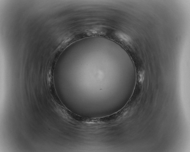 X0000086790915200704271827