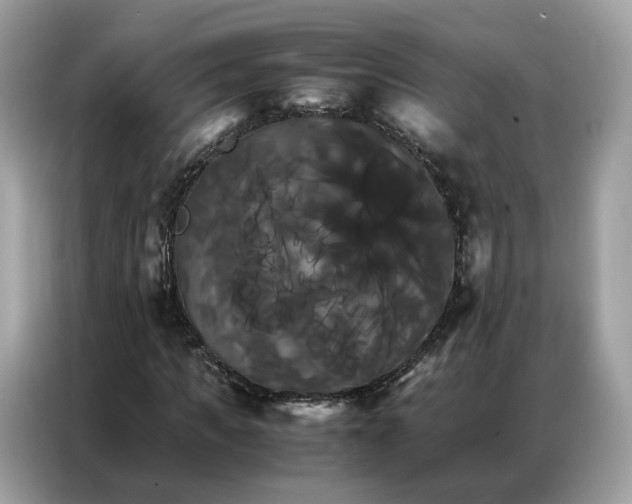 X0000086790917200704271827