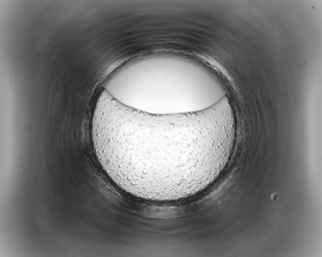 X0000086790921200704271827