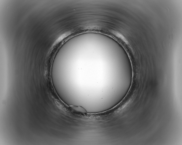 X0000086790922200704271827